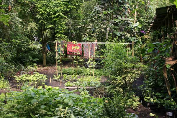 Eden Project tuin MaleisiÎ