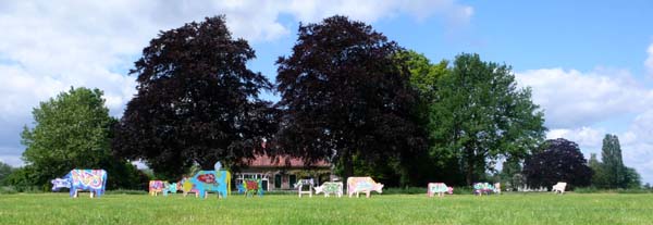graffitikoeien voor de middenhof
