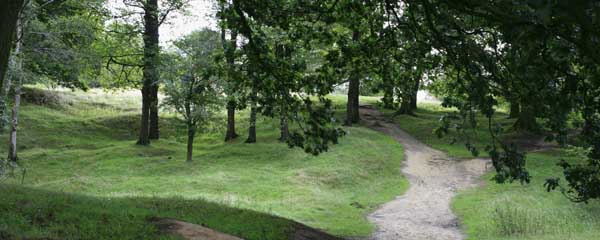 Hill 60