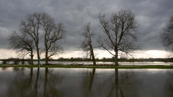 IJssel bij de Nijenbeek, Voorst