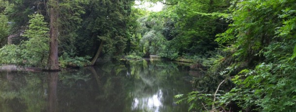 insel hombroich