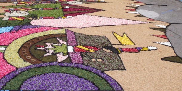 bloemen in Arbucies