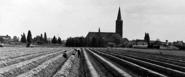 asperges
