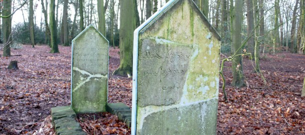 graf-in-haerst