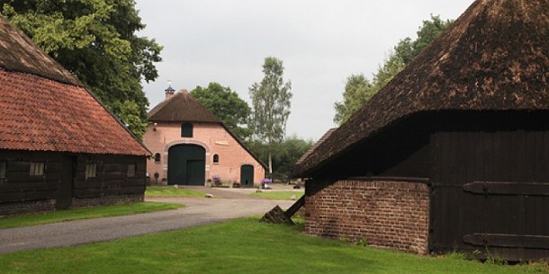 grootte veen in putten