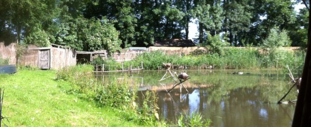 eendenkooi het haasje