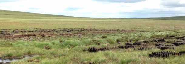 landschap met peat