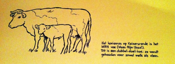 MRIJ op de Natuurderij