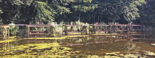 waterloopbos