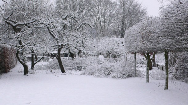 wintertuin