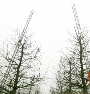 hoogstam ladders